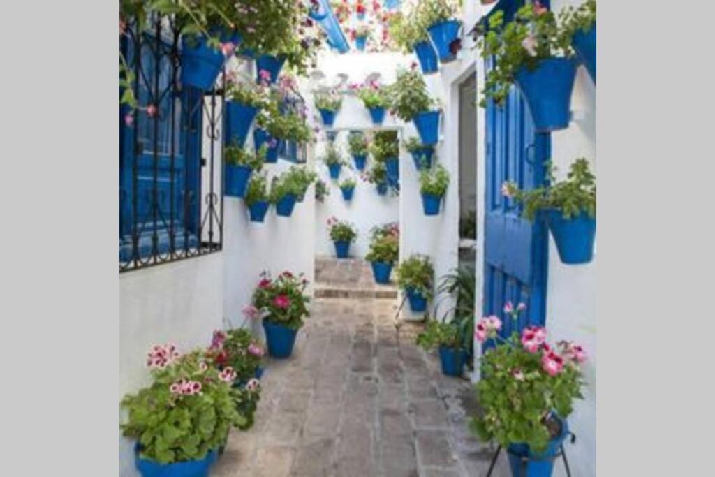 Corredera House. Pleno Centro De Cordobaアパートメント エクステリア 写真